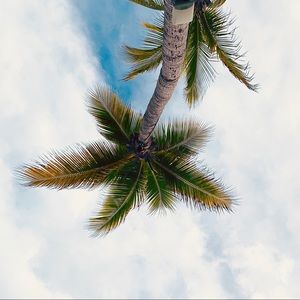 Meet your Posher, Petrus